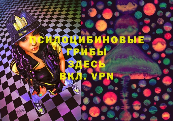 ГАЛЛЮЦИНОГЕННЫЕ ГРИБЫ Беломорск